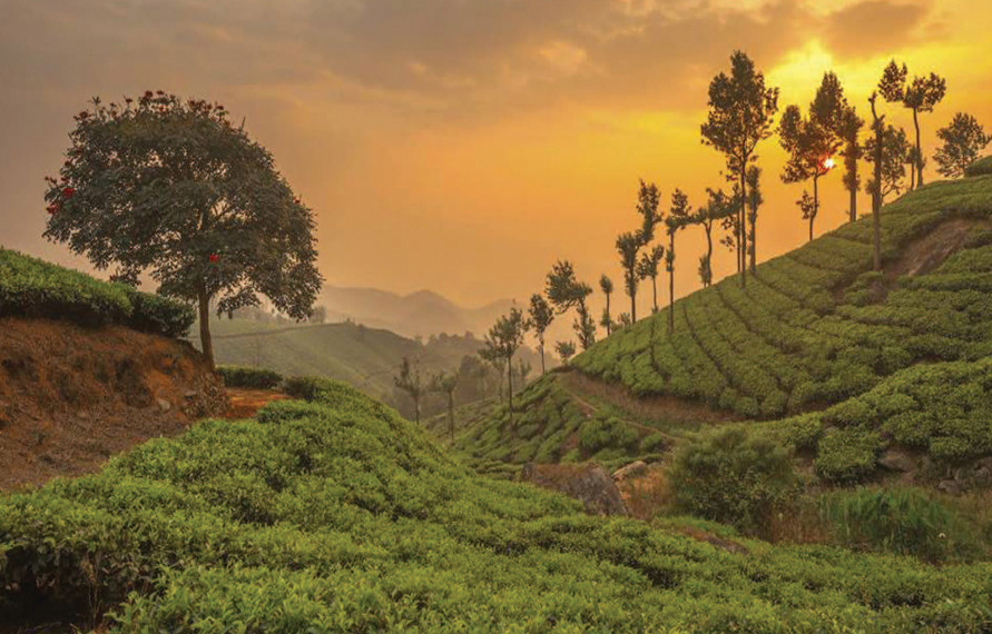 Munnar